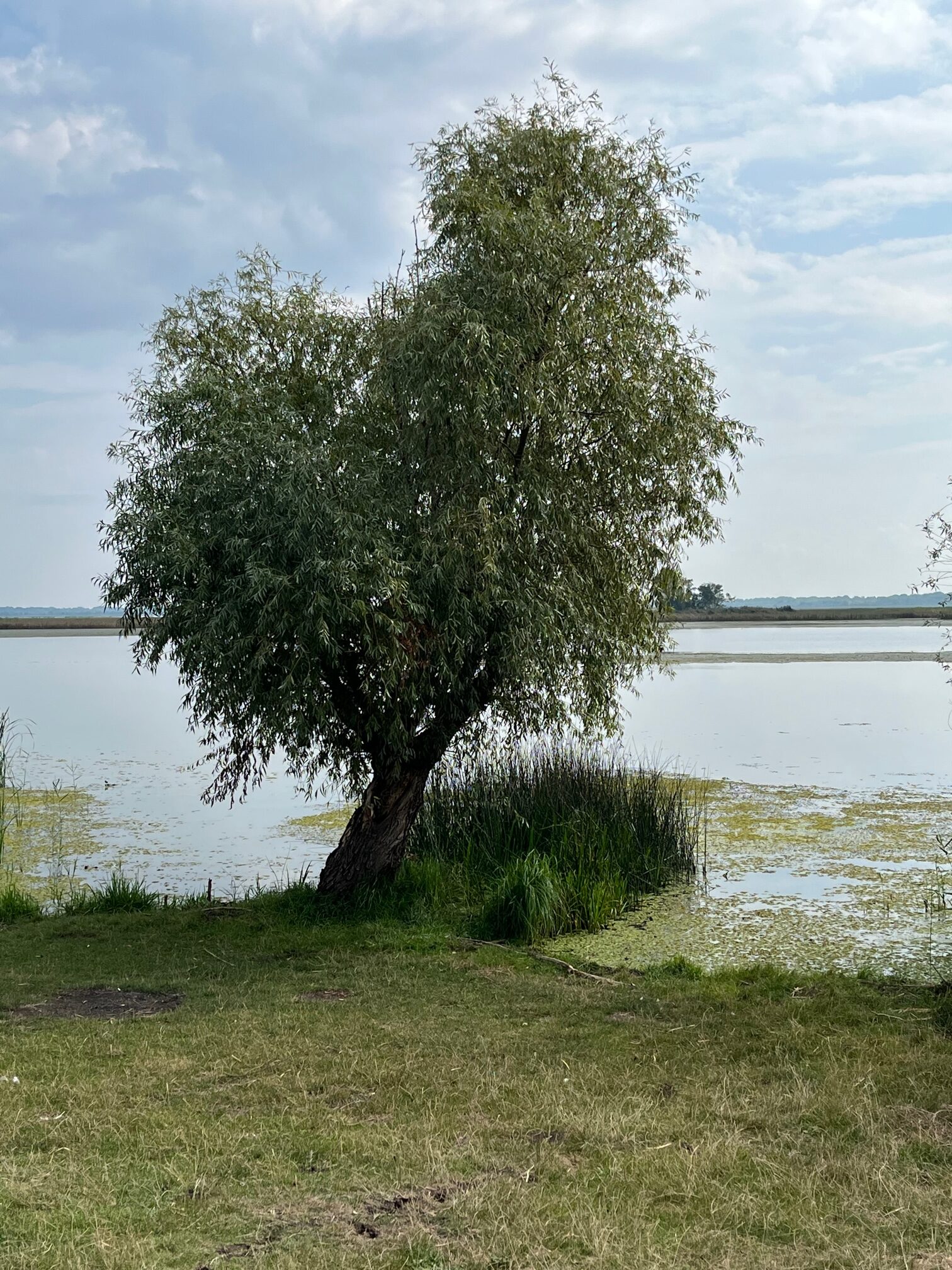 Vízen, lábon, két keréken – Hosszú hétvége a Tisza-tavon Remind magazin