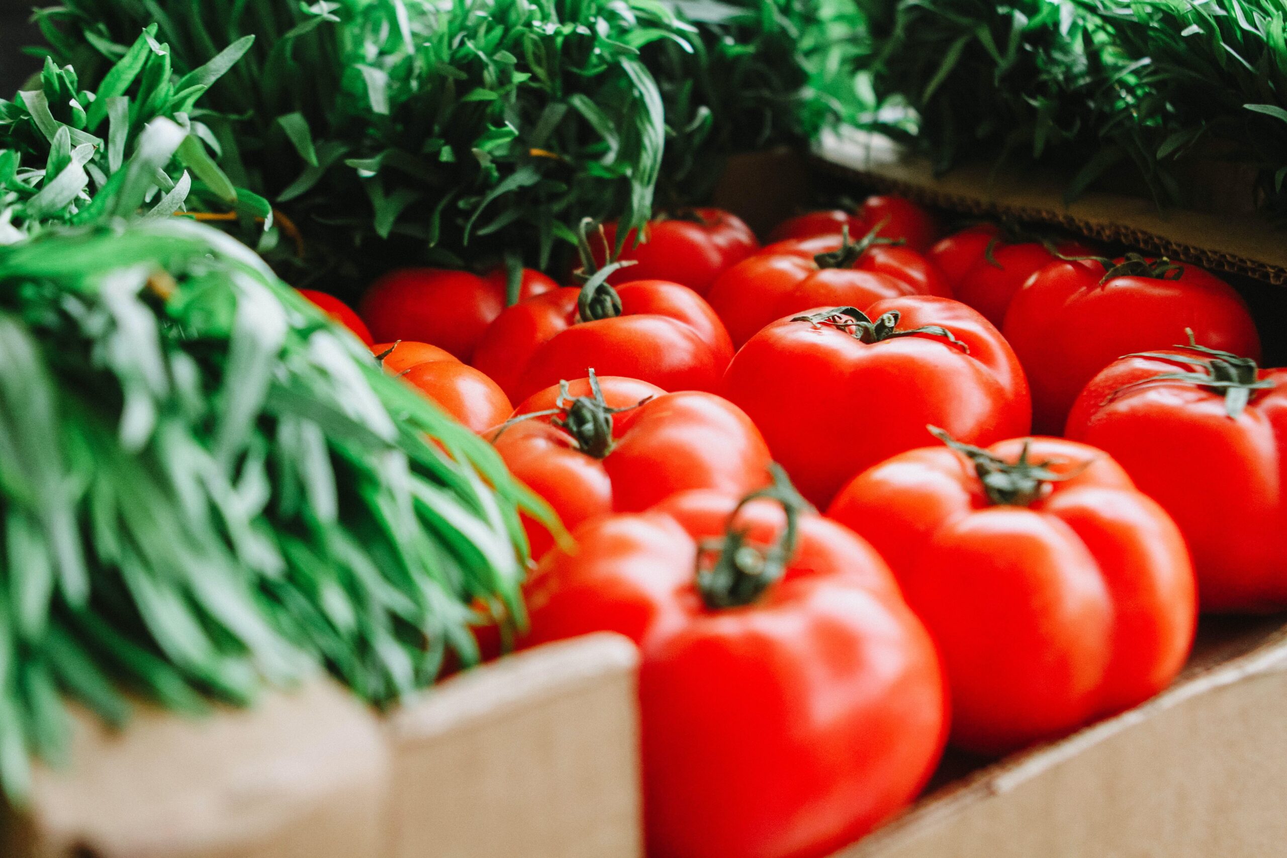 A vegán étrend hatása az egészségünkre – Tudományos áttekintés Remind magazin
