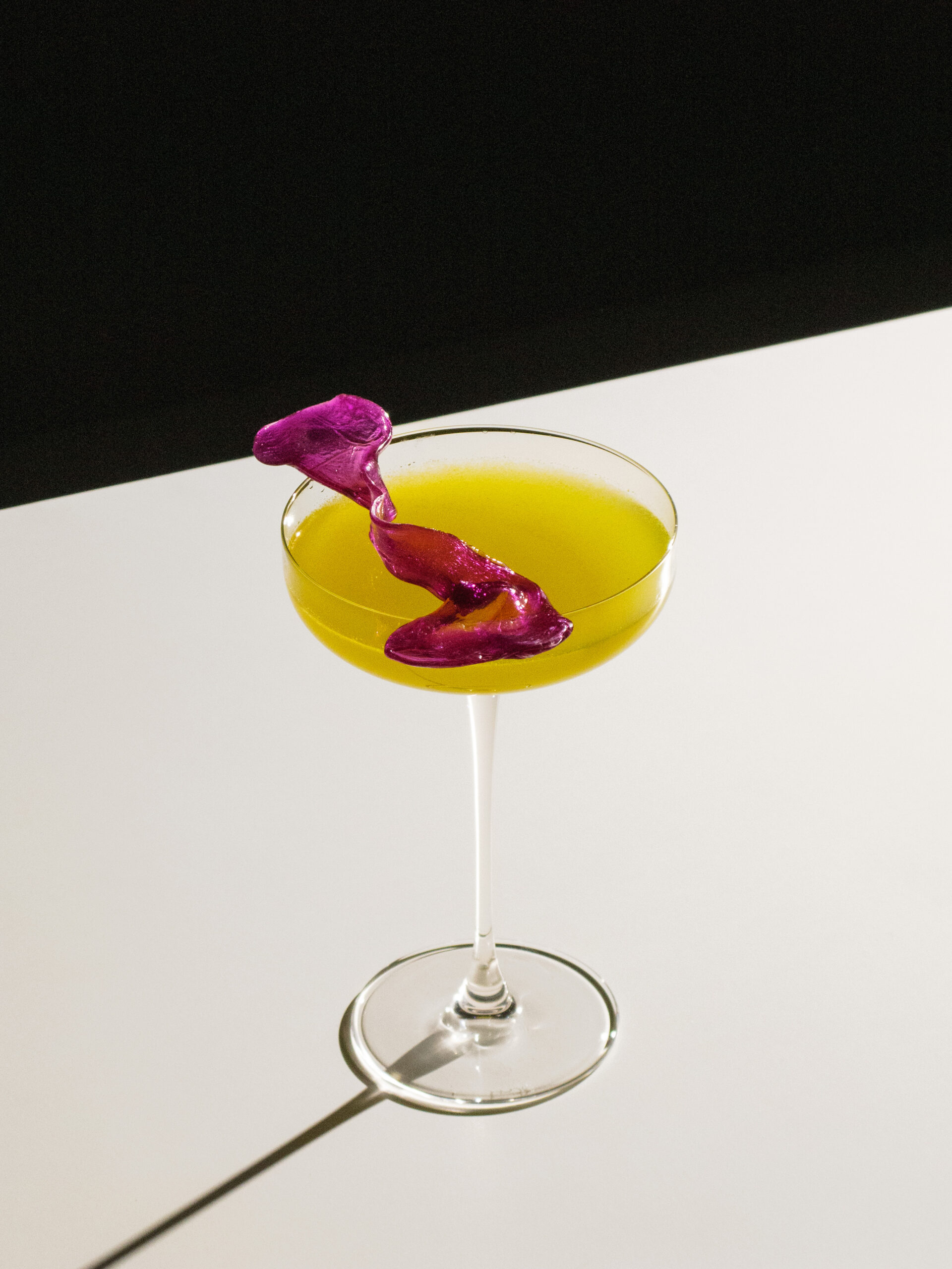 white_raven