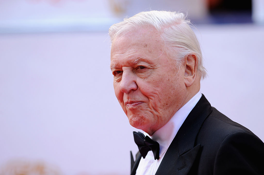 David_Attenborough