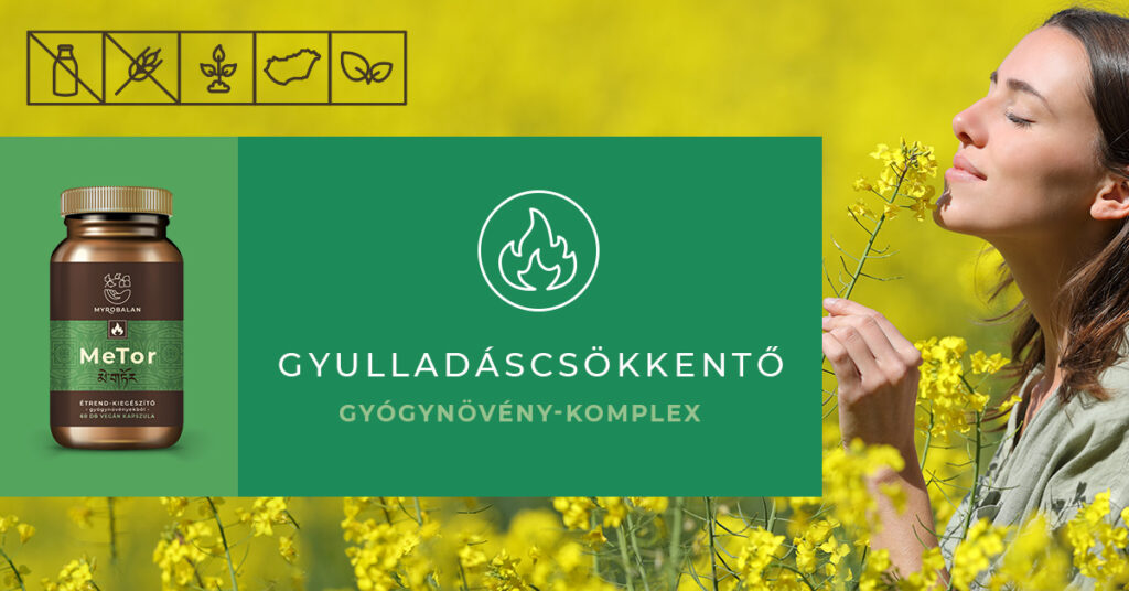 „A hit bizalom és nyitottság” – Erdélyi Zoltán útja a buddhizmustól a Myrobalanig Remind magazin