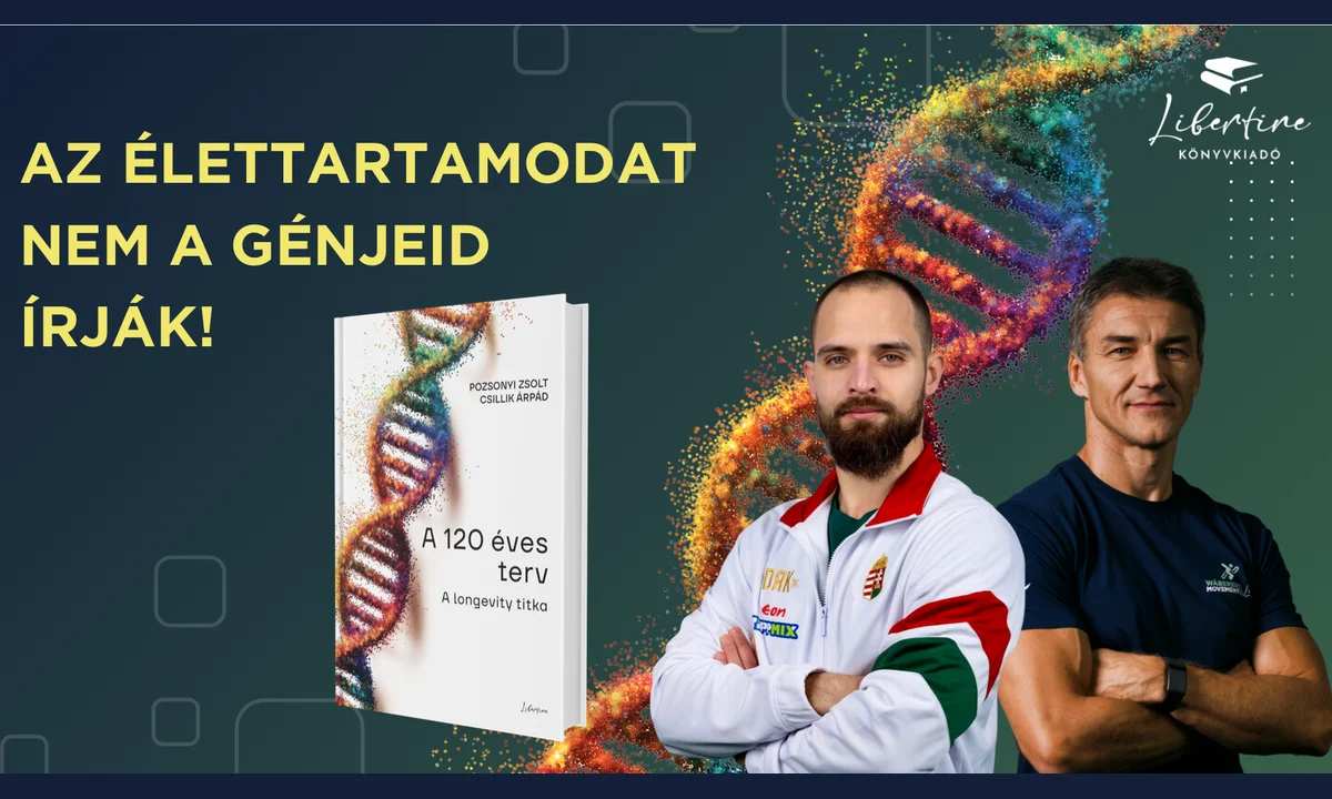 A 120 éves terv könyv és Wáberer Movement Lab