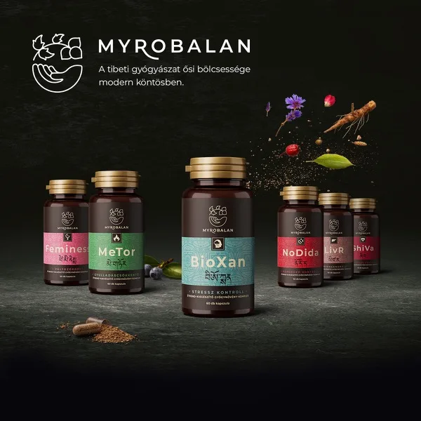 Myrobalan
