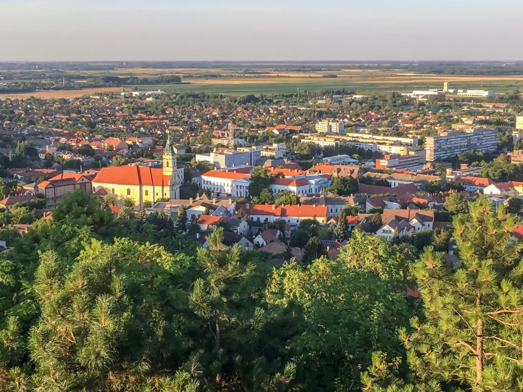 „Mindig kíváncsinak kell maradni” - interjú Sue Tolson, Master of Wine szakemberrel Remind magazin
